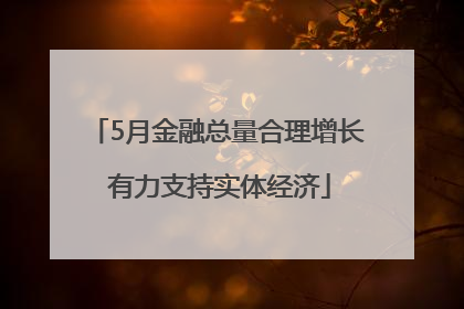 5月金融总量合理增长 有力支持实体经济