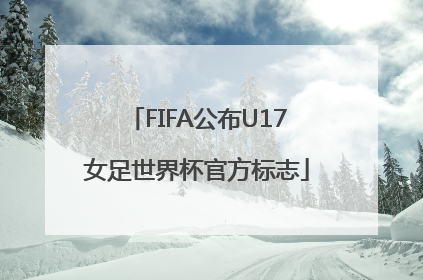 FIFA公布U17女足世界杯官方标志