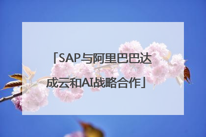 SAP与阿里巴巴达成云和AI战略合作